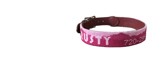 Needlepoint Dog Collars