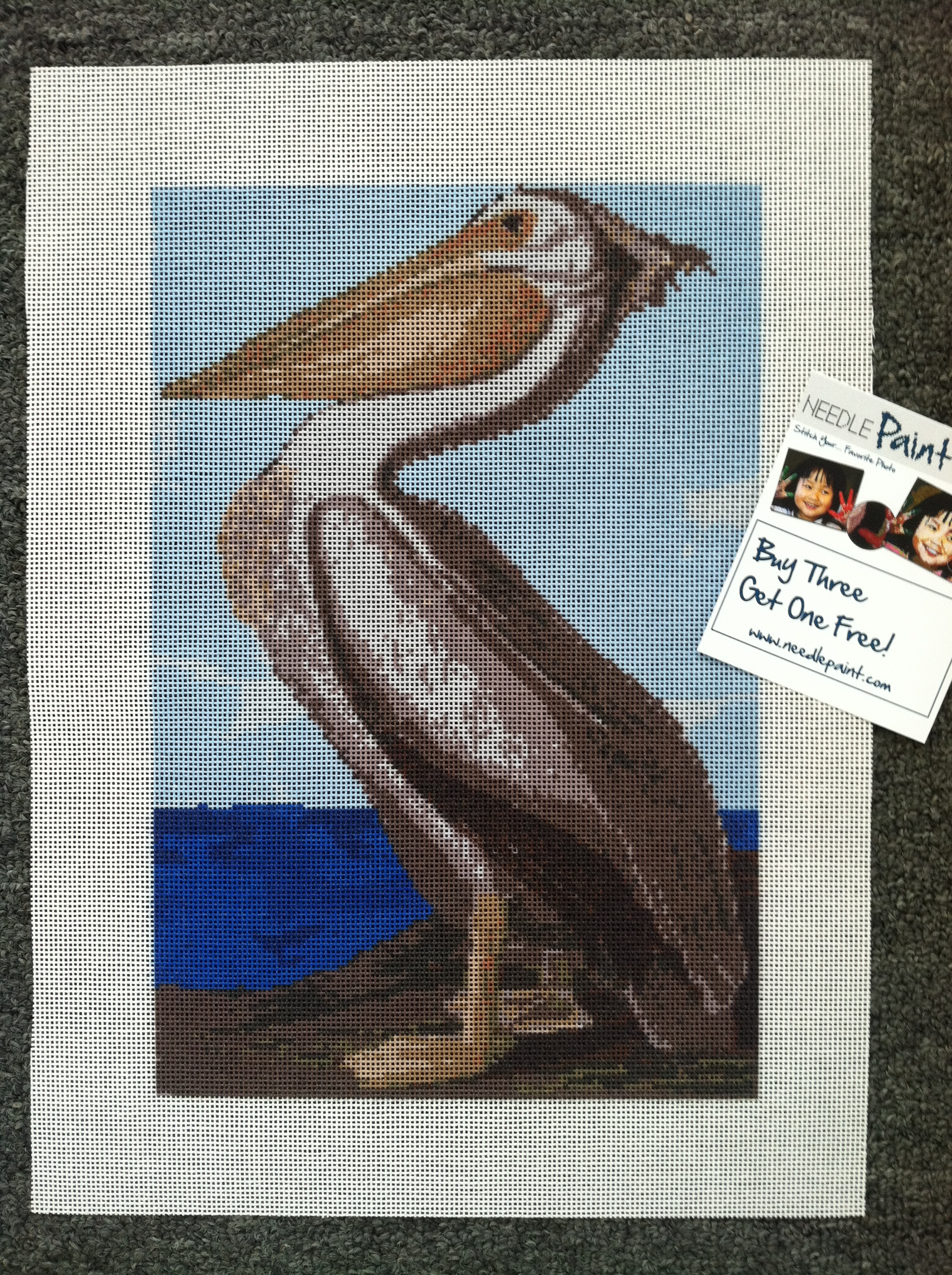 John James Audubon White Pelican Needlepoint Kit