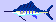 Fish Sailfish