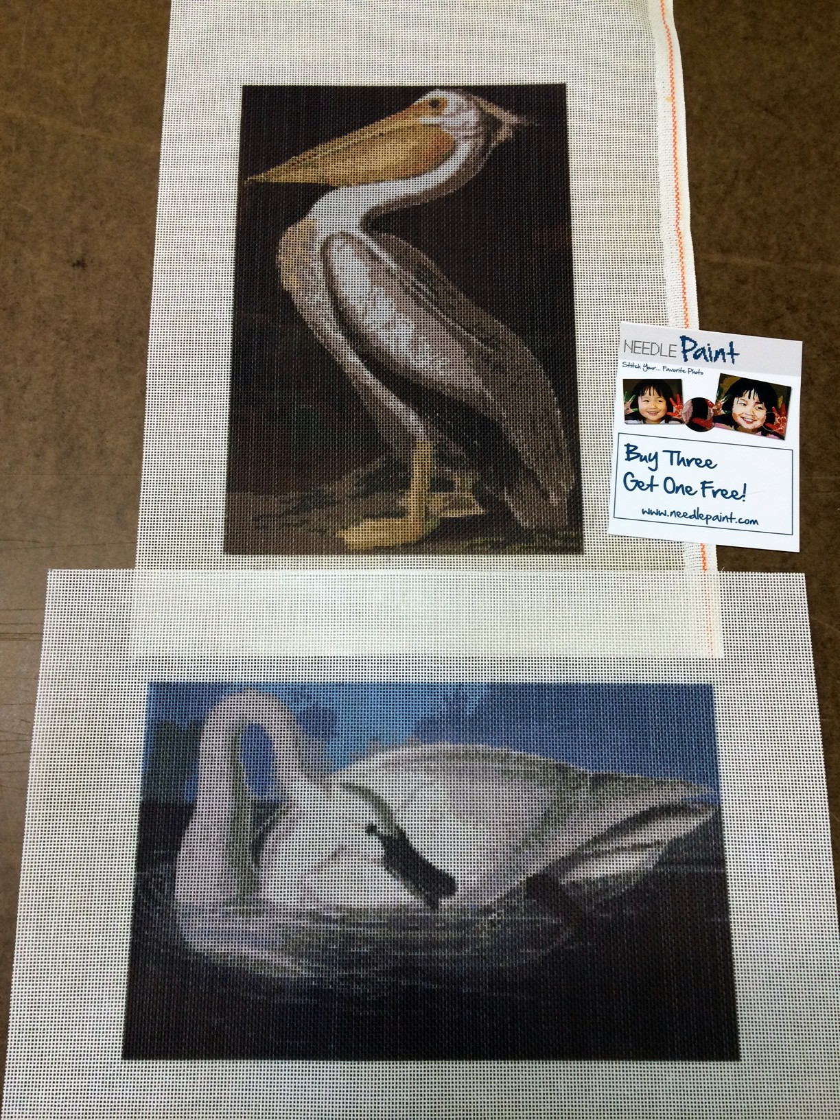 Audubon Swan and White Pelican Needlepoint Kits