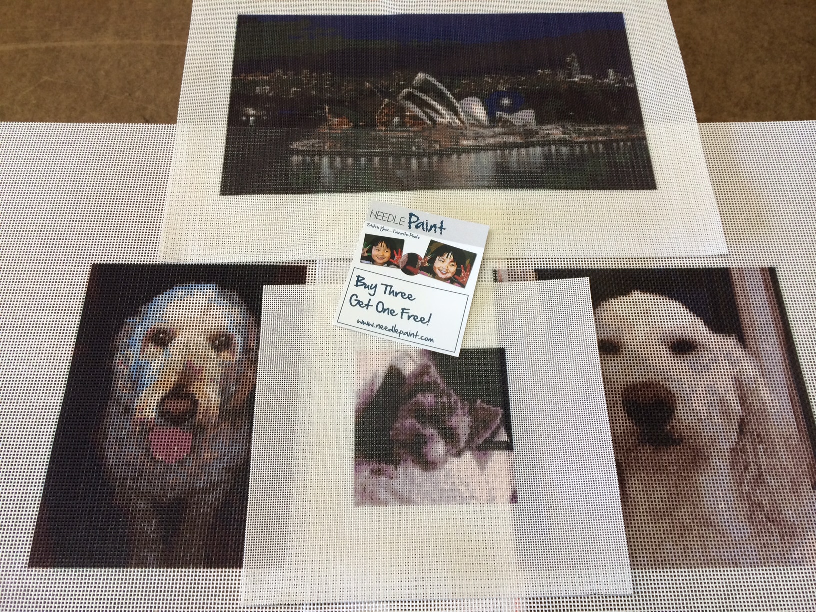 Custom Needlepoint Canvases from Photos