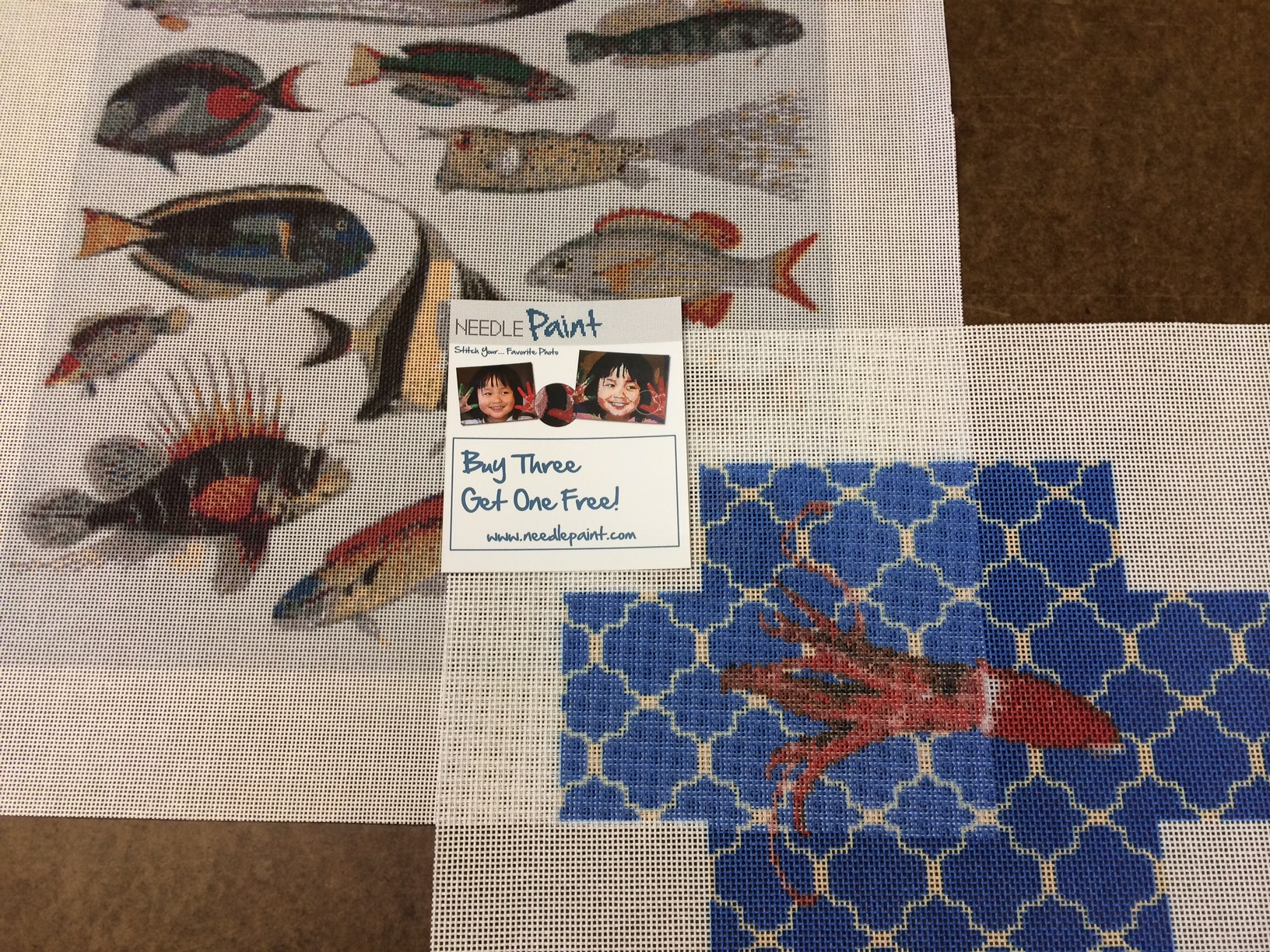 Custom Brick Cover and Tropical Fish Needlepoint Kit