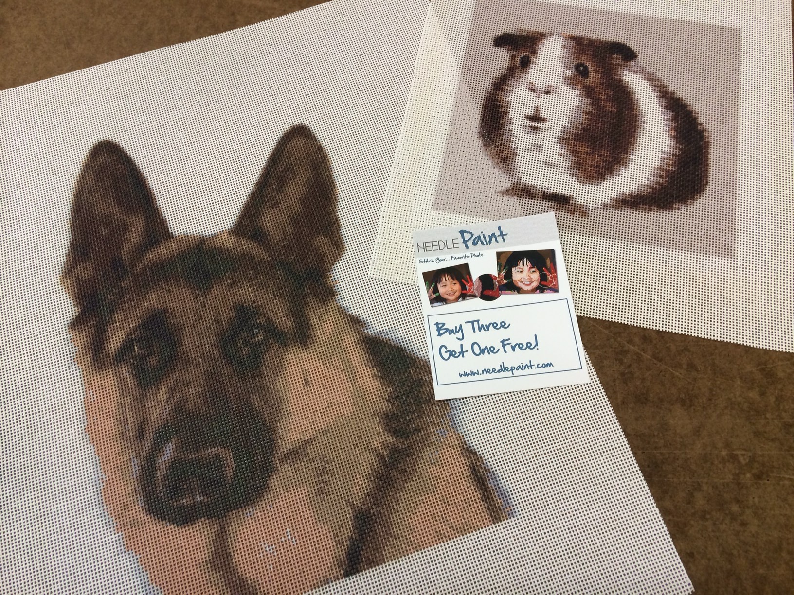 German Shepherd and Guinea Pig Canvases