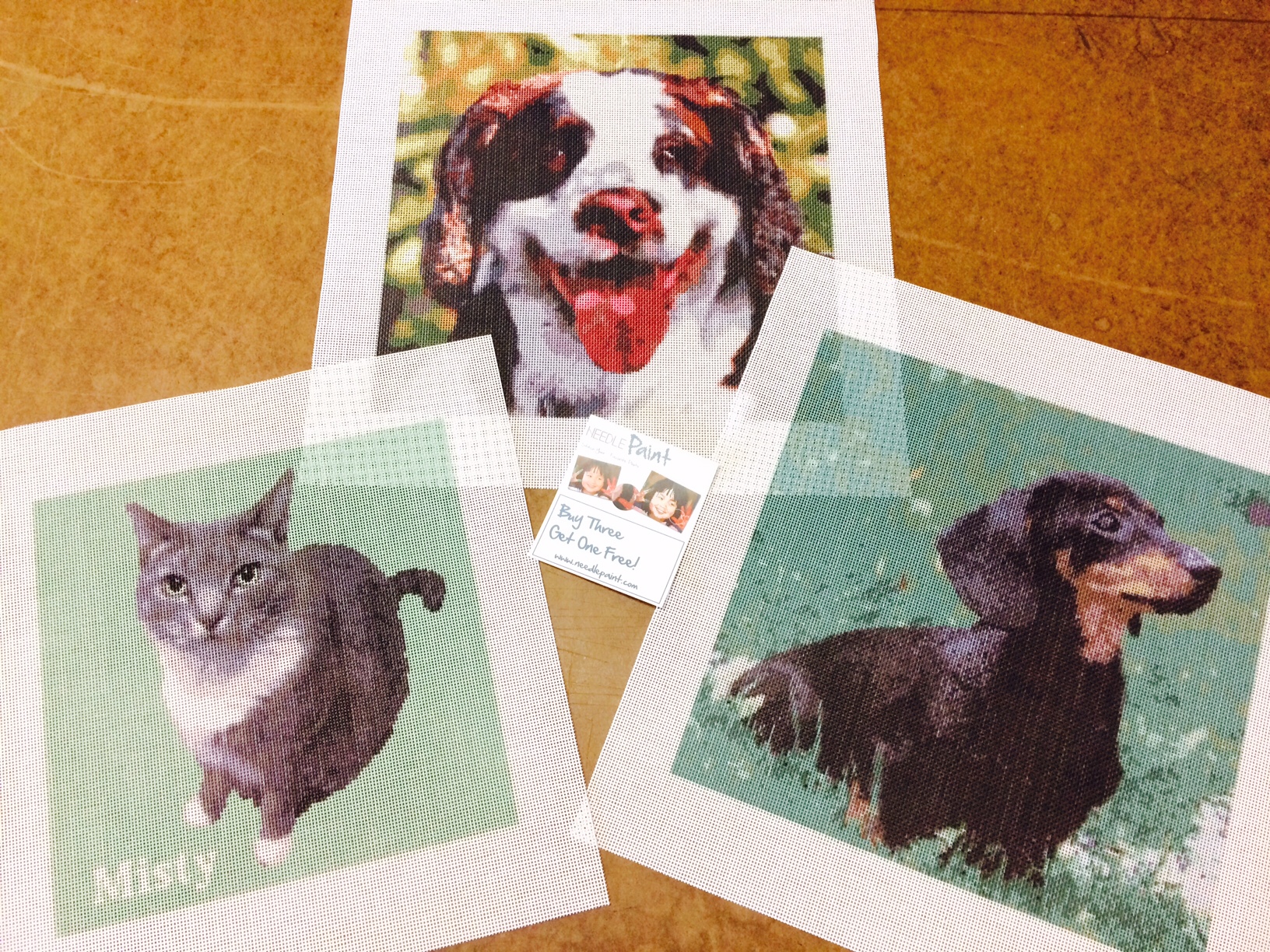 Dog and Cat Photo Portriat Needlepoint Kits