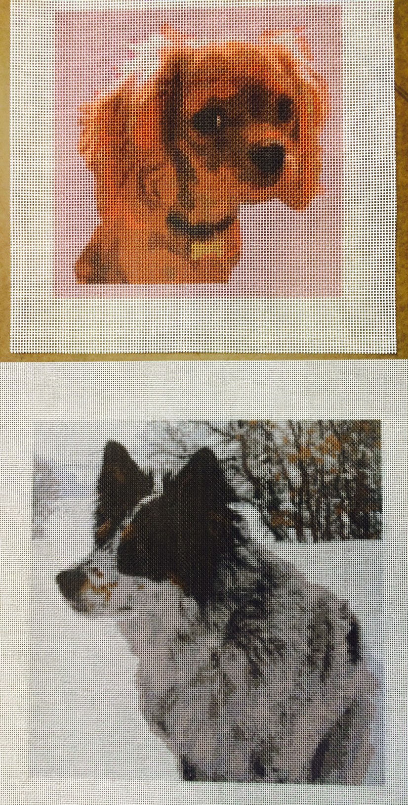 Custom Dog Needlepoint Canvases