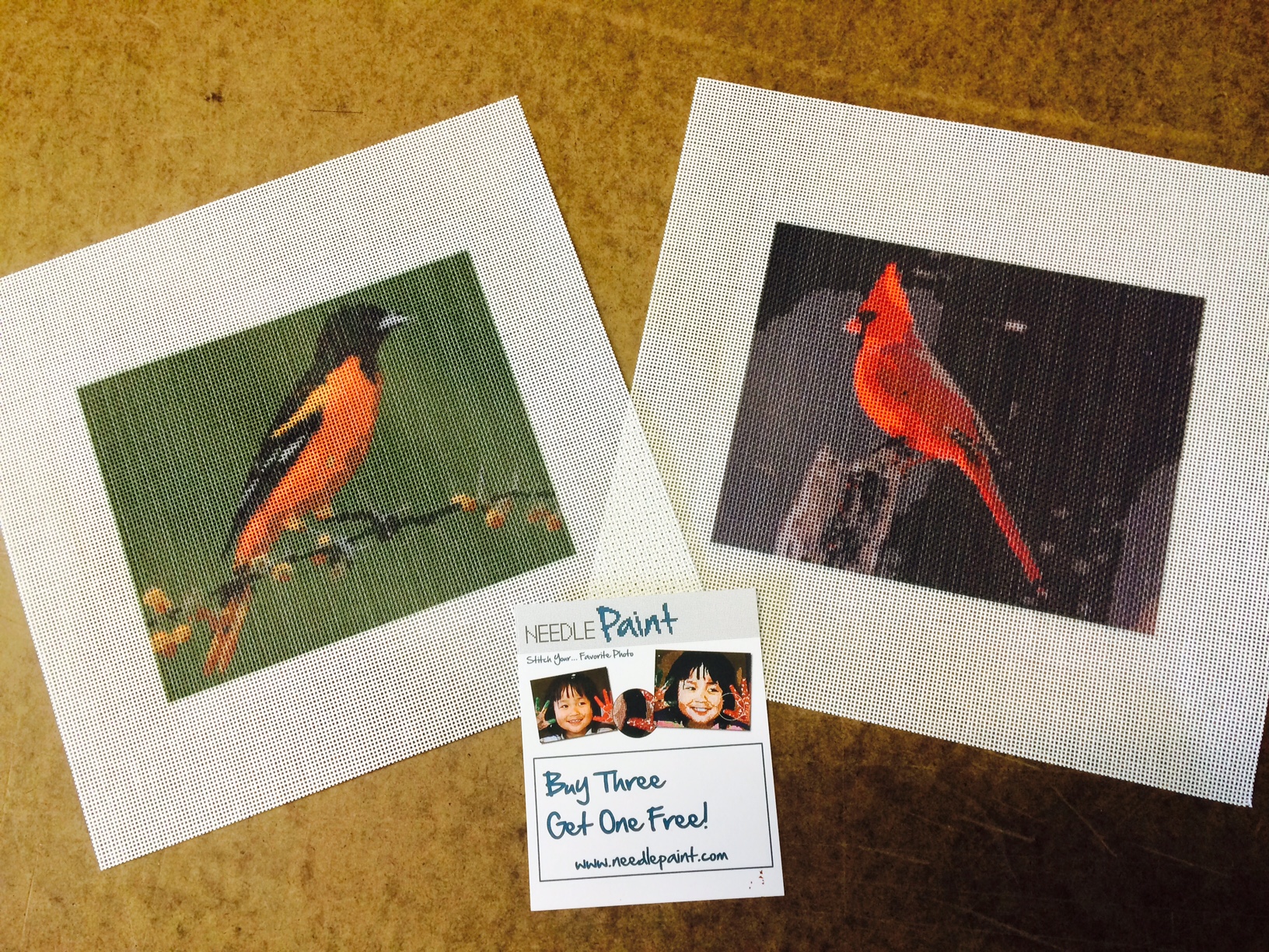 Oriole and Cardinal Custom Bird Needlepoint Canveses